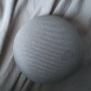 Google Home Assistant